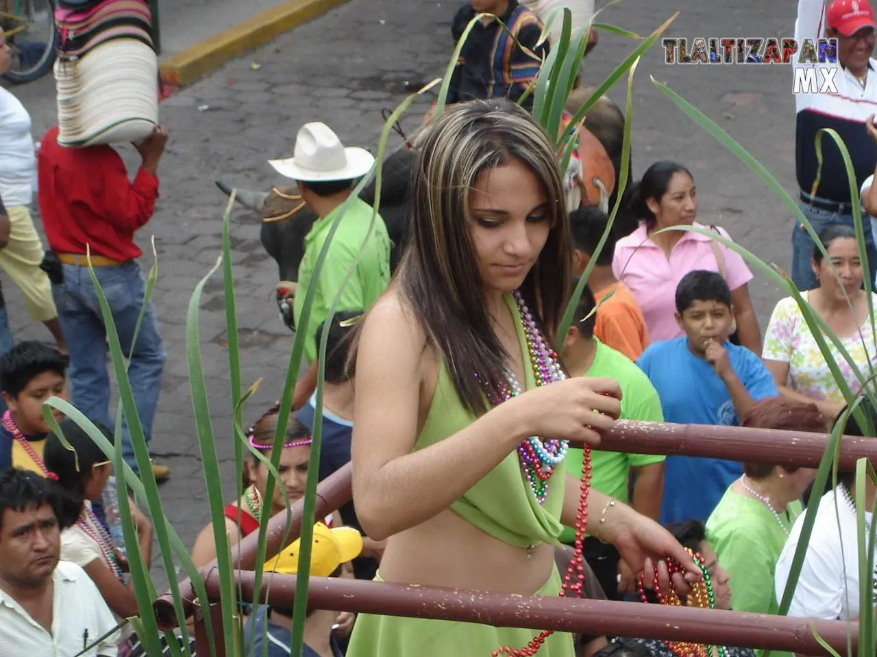 Fotos del Carnaval de Tlaltizapán 2006