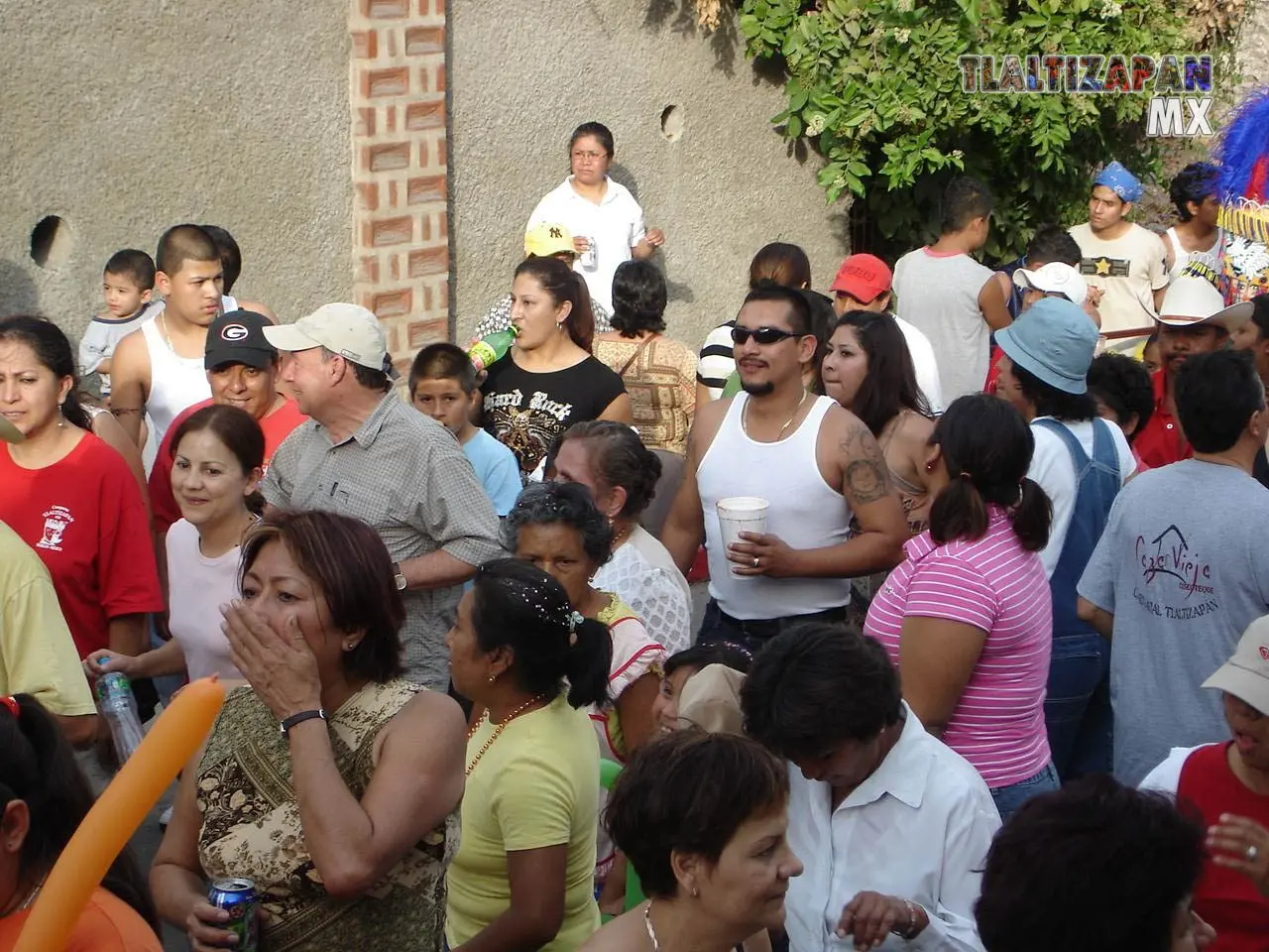 Fotos del Carnaval de Tlaltizapán 2006