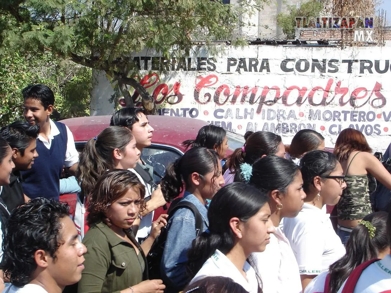 Fotos del Carnaval de Tlaltizapán 2006