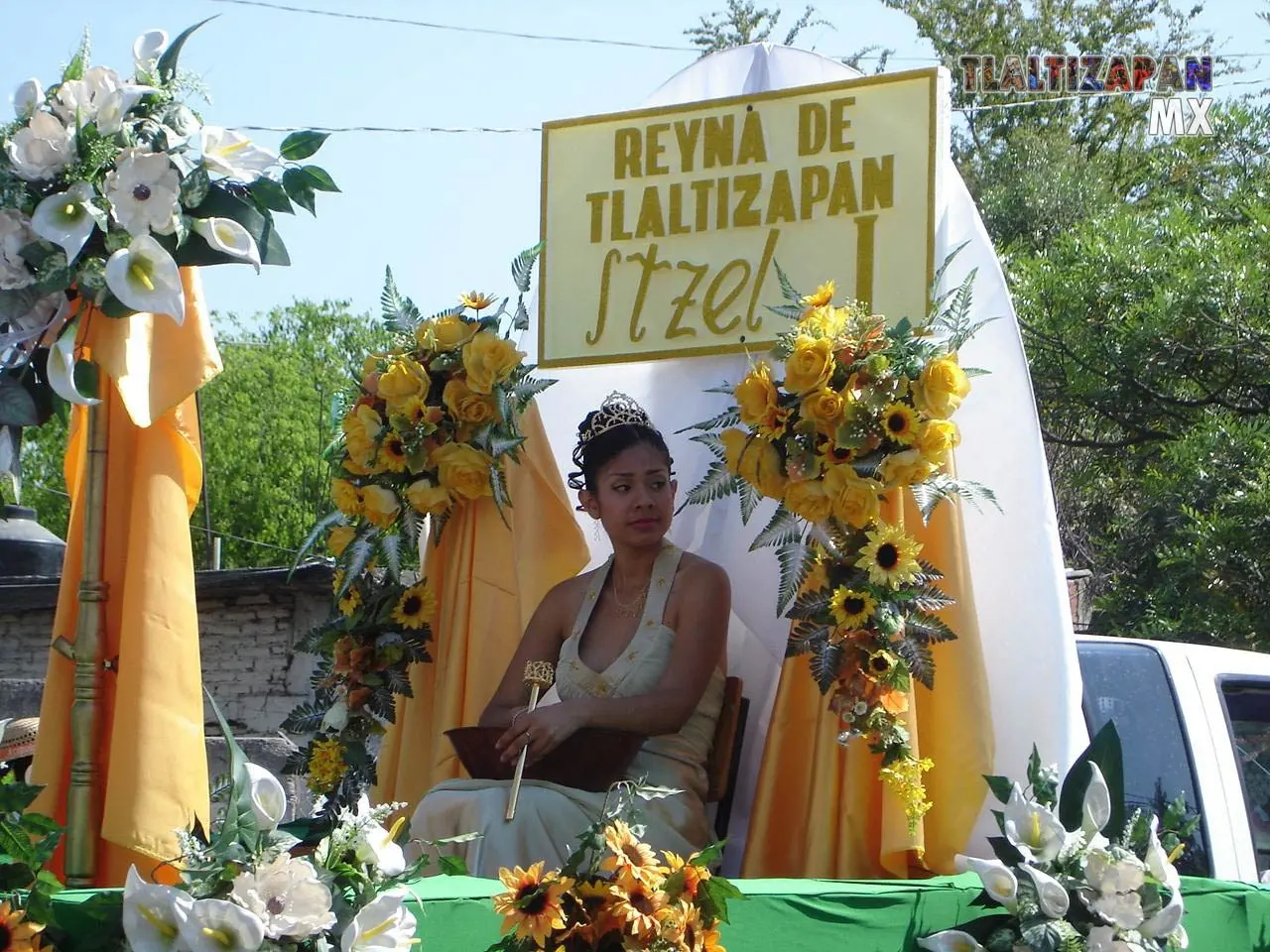 Fotos del Carnaval de Tlaltizapán 2006