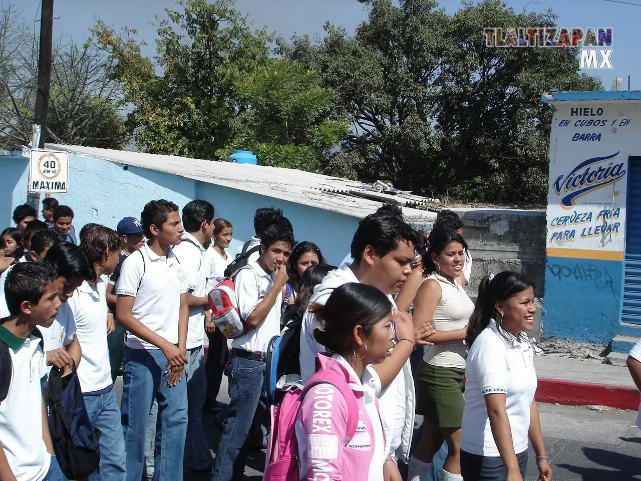 Fotos del Carnaval de Tlaltizapán 2006