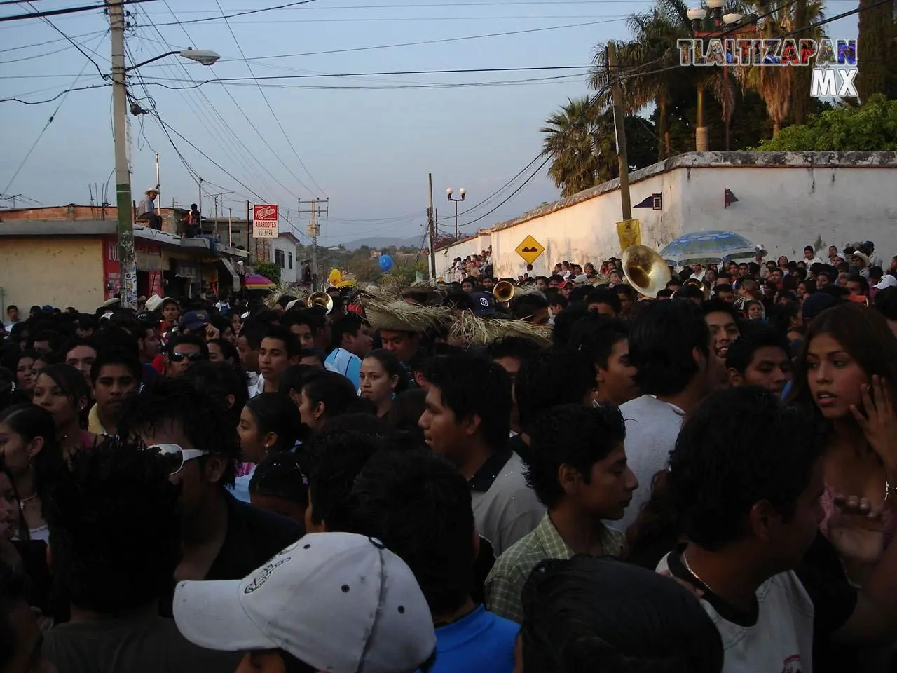 Fotos del Carnaval de Tlaltizapán 2006