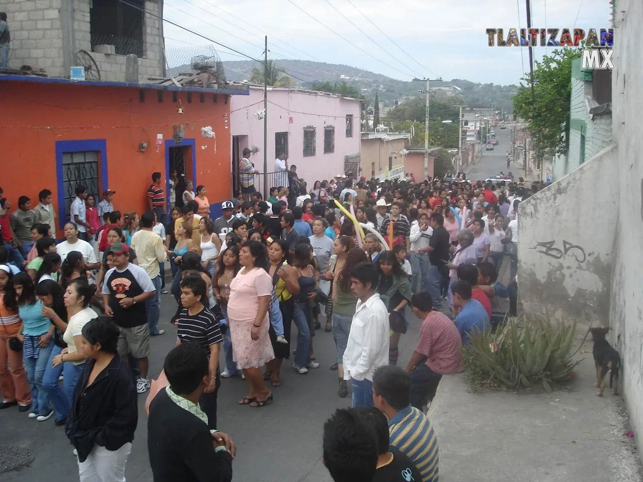 Fotos del Carnaval de Tlaltizapán 2007