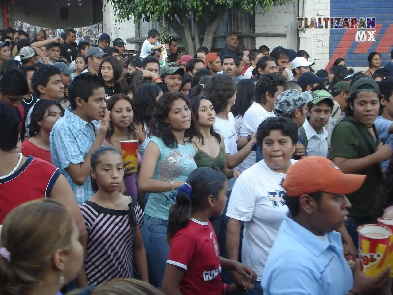 Fotos del Carnaval de Tlaltizapán 2007