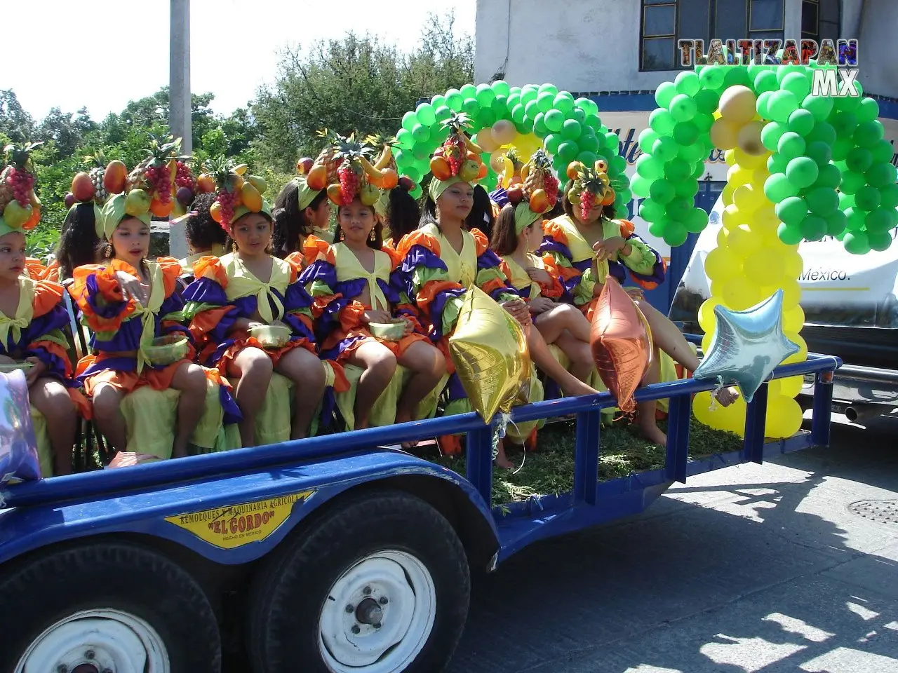 Fotos del Carnaval de Tlaltizapán 2007