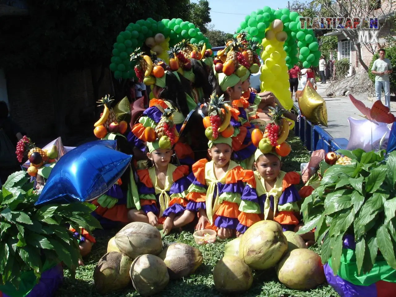 Fotos del Carnaval de Tlaltizapán 2007