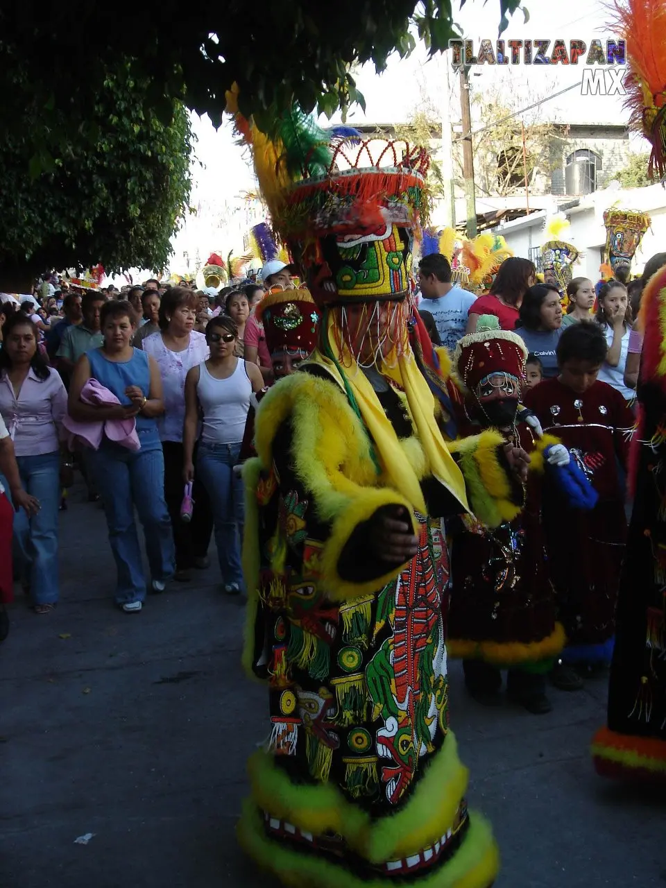 Fotos del Carnaval de Tlaltizapán 2007