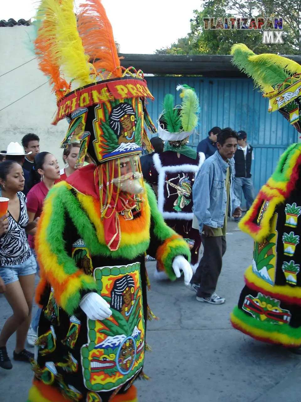 Traje de Chinelo elaborado por la familia Tenorio Gonzales 2007