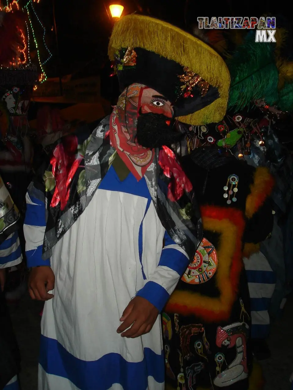 Fotos del Carnaval de Tlaltizapán 2007