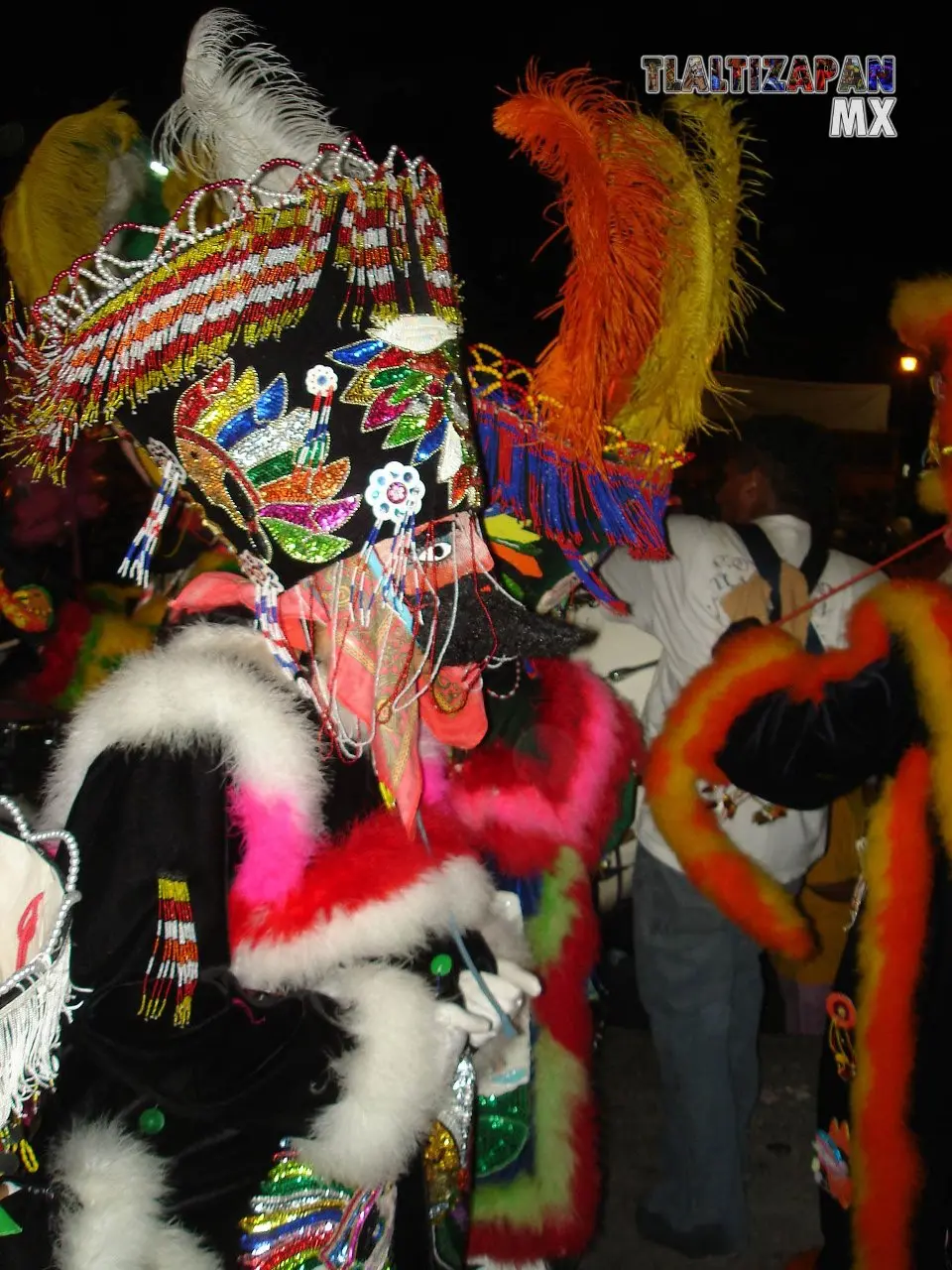 Fotos del Carnaval de Tlaltizapán 2007