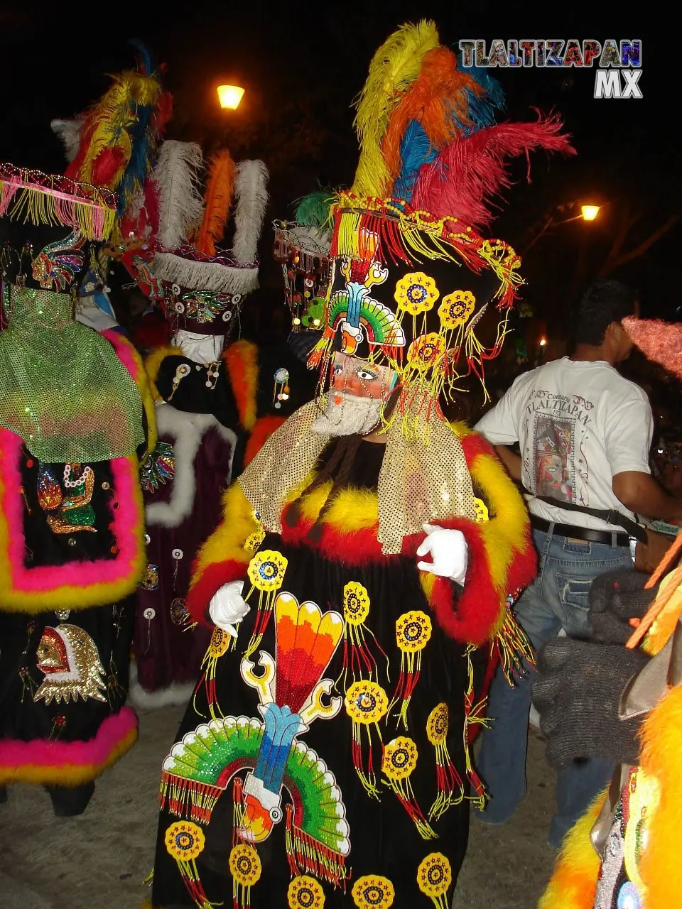 Fotos del Carnaval de Tlaltizapán 2007