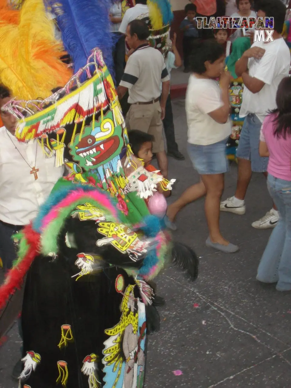 Fotos del Carnaval de Tlaltizapán 2007