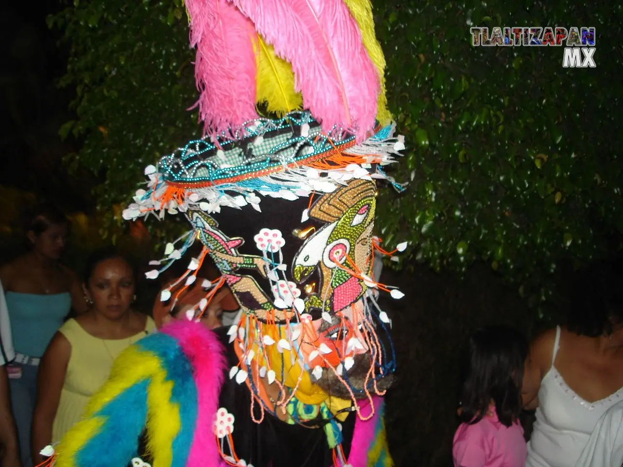 Fotos del Carnaval de Tlaltizapán 2007