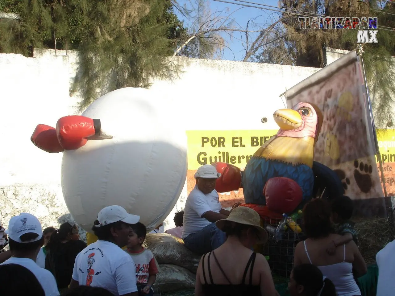 Fotos del Carnaval de Tlaltizapán 2007