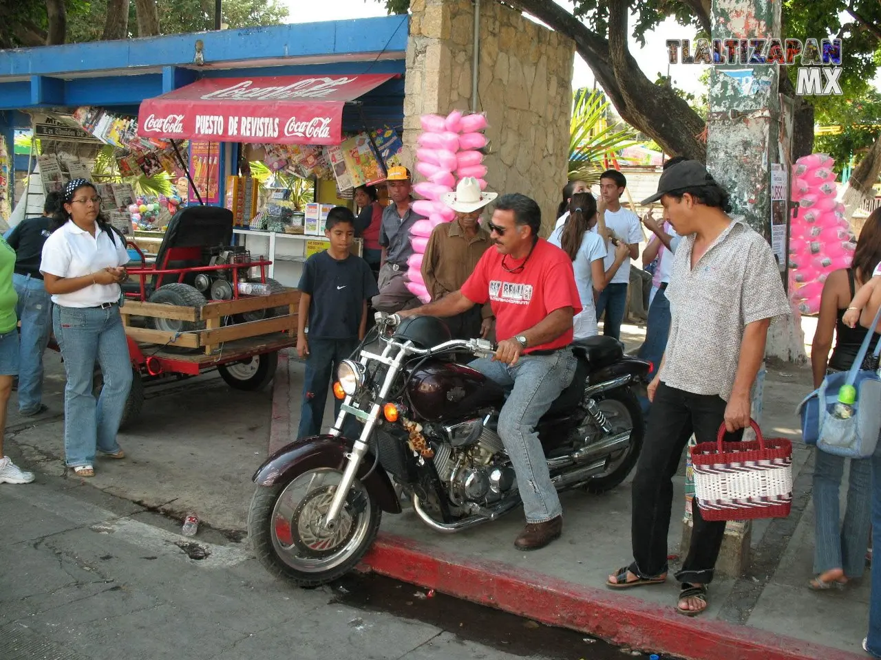 Fotos del Carnaval de Tlaltizapán 2007