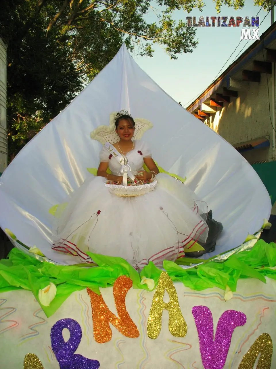 Fotos del Carnaval de Tlaltizapán 2007