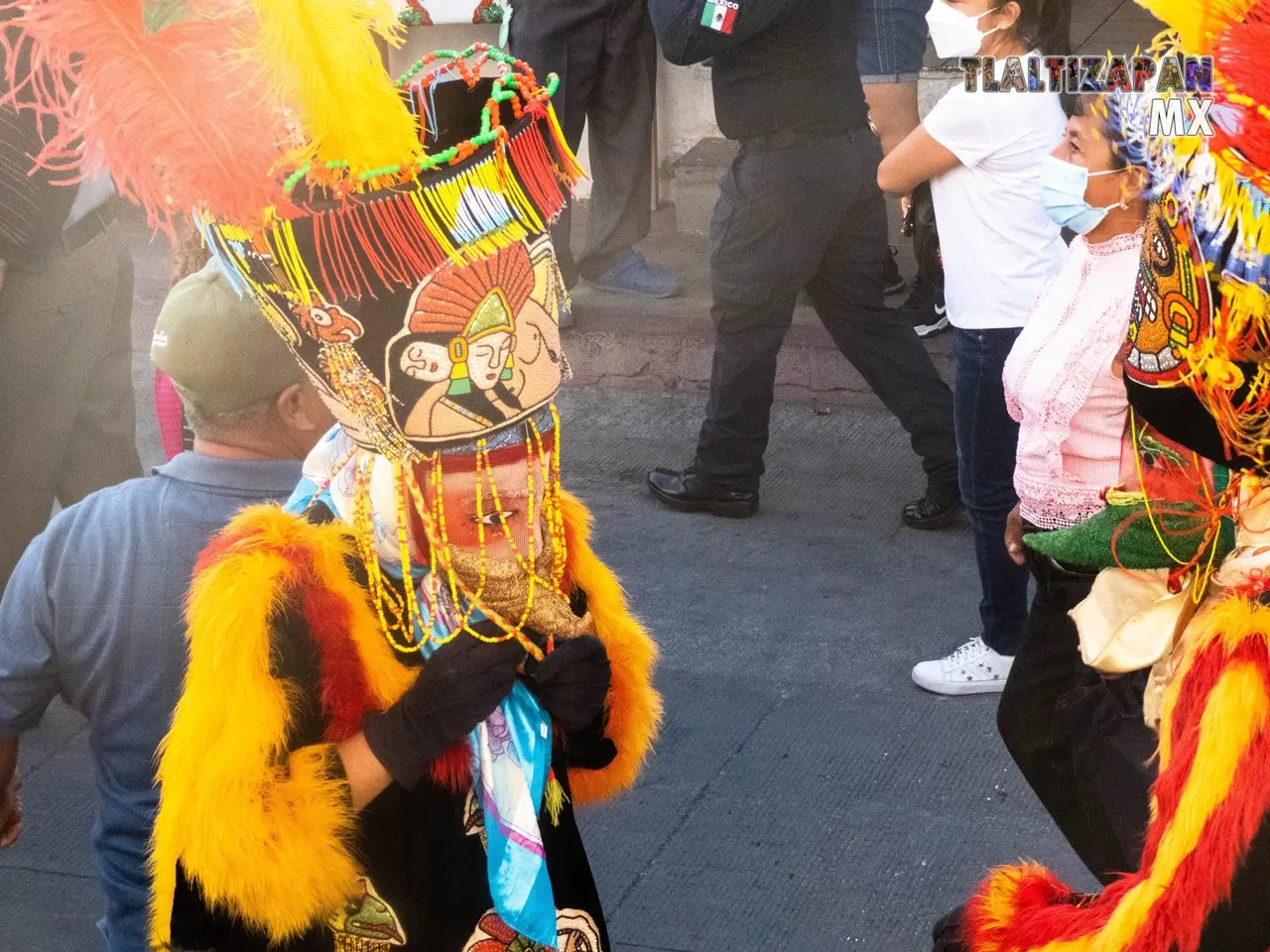 Chinelos Brincando