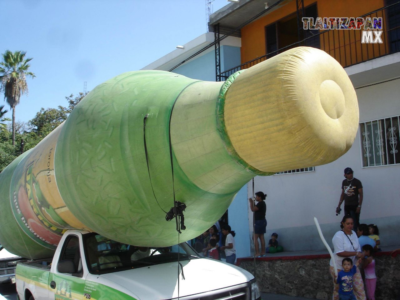 Fotos del Carnaval de Tlaltizapán 2007