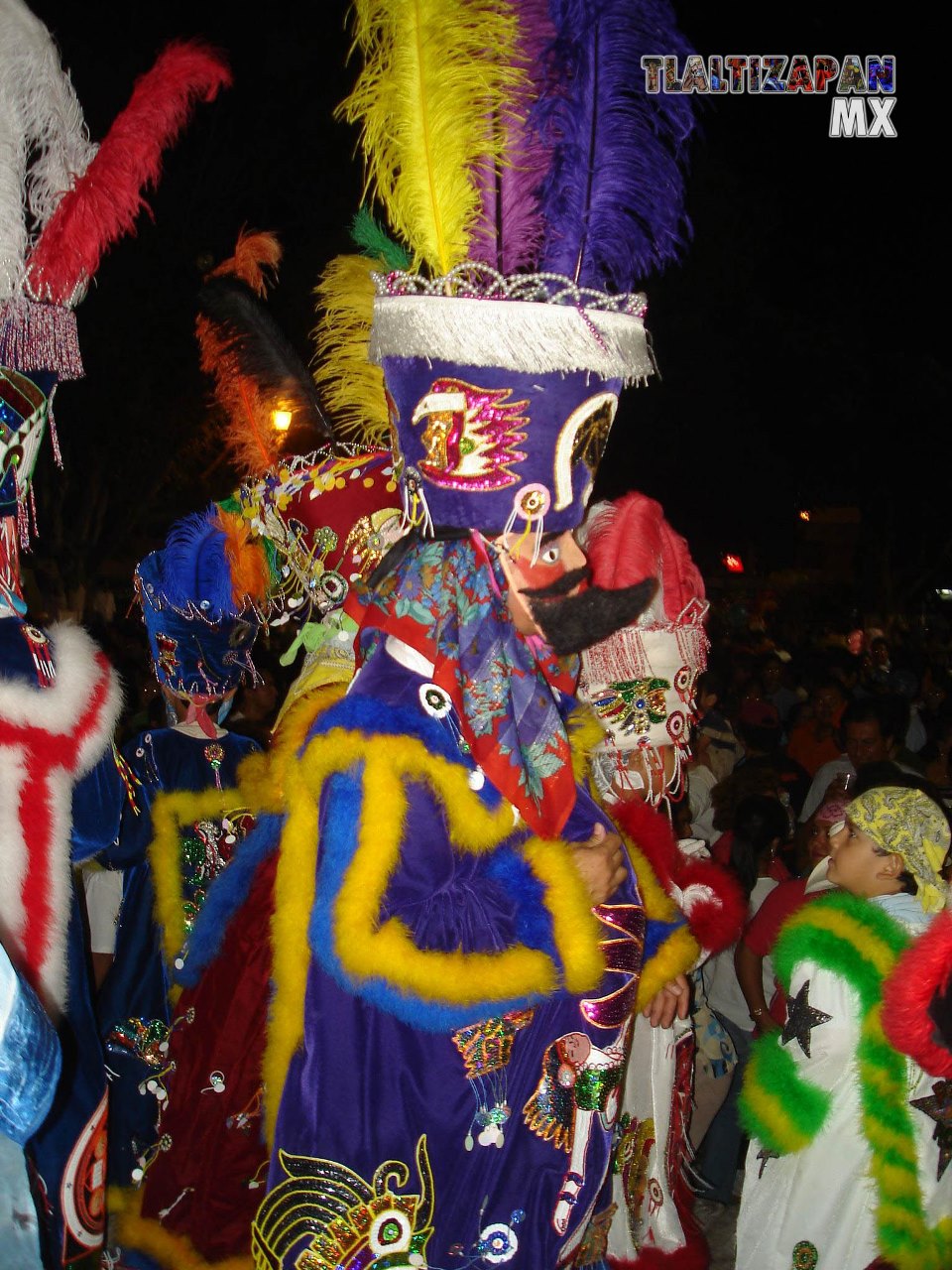 Fotos del Carnaval de Tlaltizapán 2007