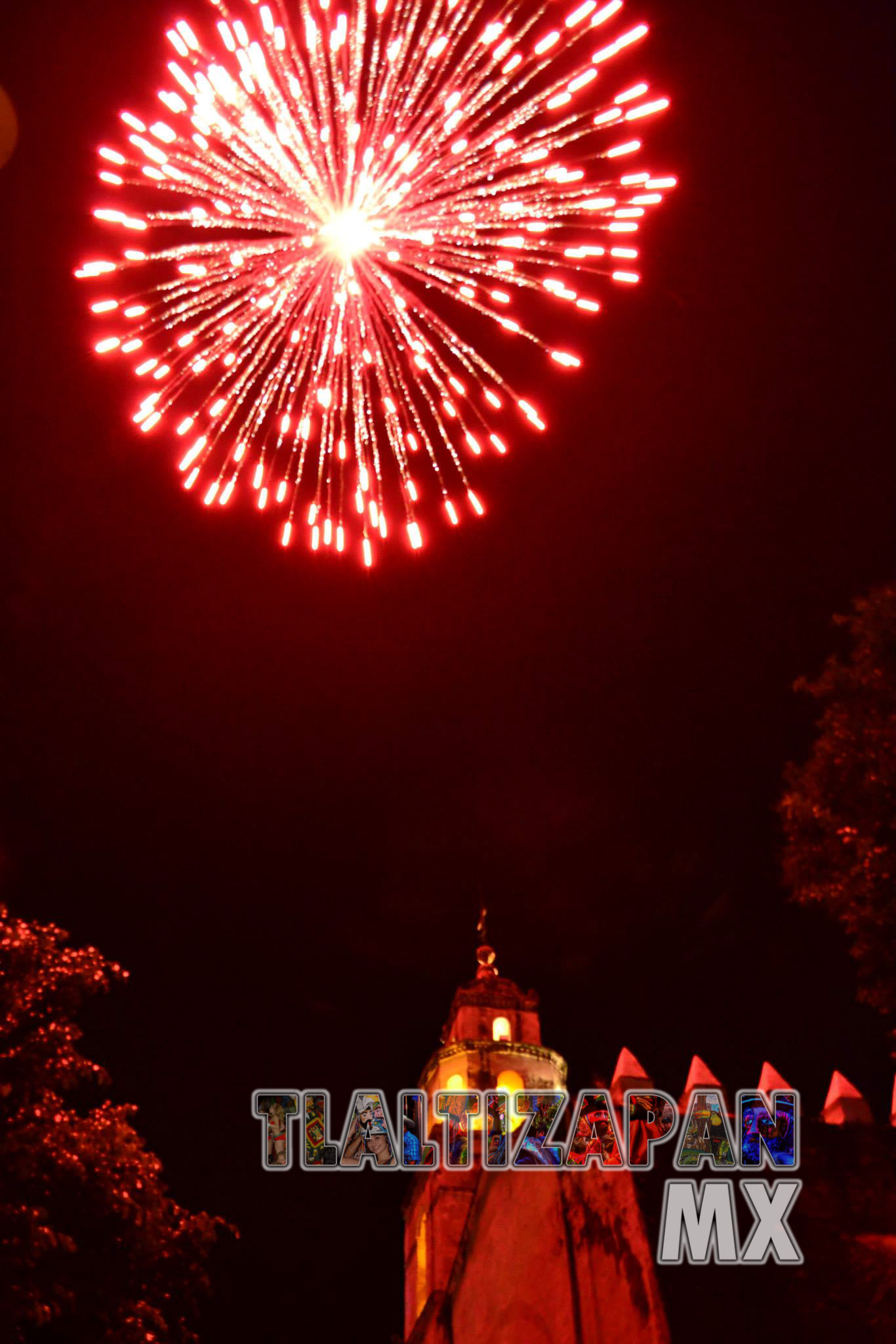 Tapetes de aserrín 2013 | Coleccion multimedia | Tlaltizapan.mx