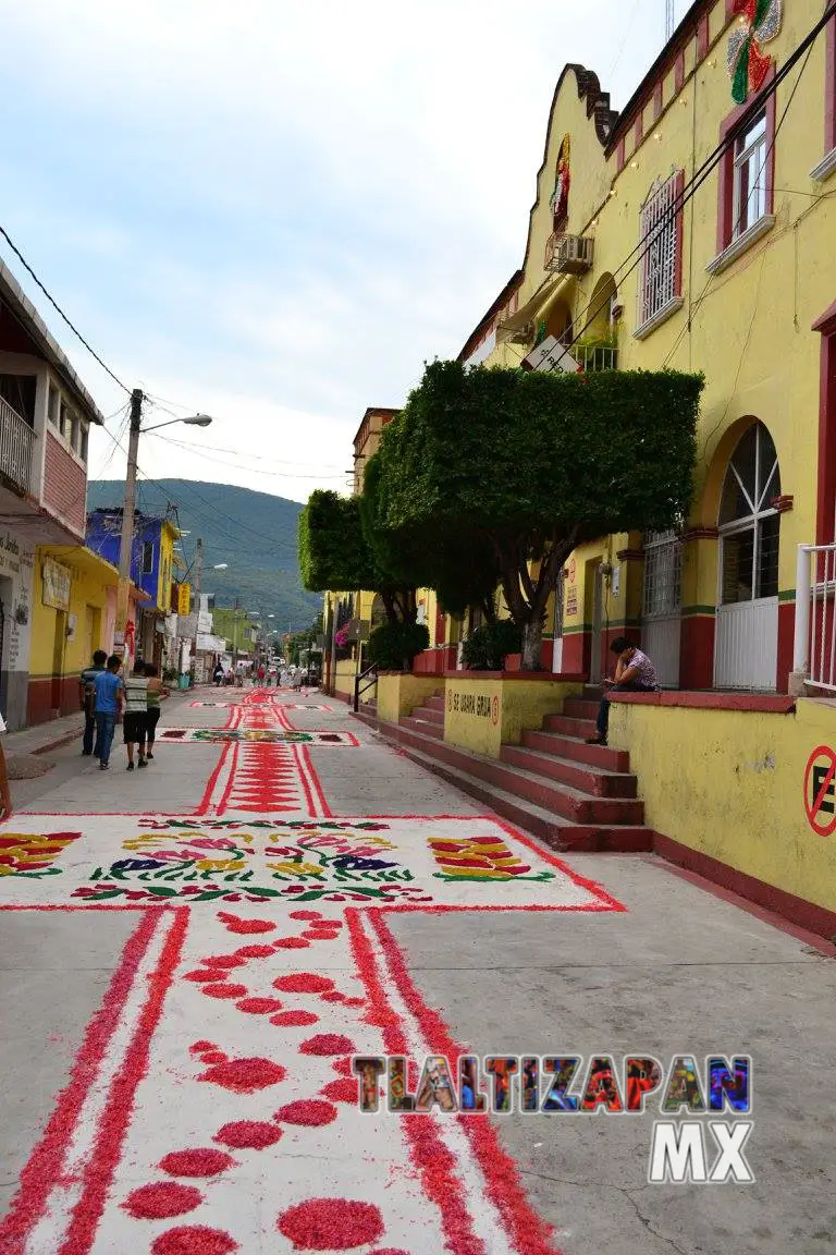 Tapetes entre las calles De La Constitución e Hidalgo Sur.