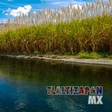 El canal de Tlaltizapán a la orilla de los campos de siembra