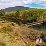 Paisaje del canal de Tlaltizapán