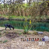 On the banks of the irrigation canal of Tlaltizapan