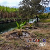Paisaje en la orilla del canal de riego de Tlaltizapán