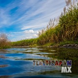 Un bello paisaje del canal de Tlaltizapán fotografiado desde adentro.