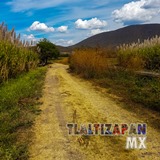 Camino a la orilla del canal de riego de Tlaltizapán