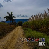 Camino a la orilla del canal rumbo al cerro Santa María de Tlaltizapán, Morelos, México