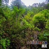 Paisaje dentro del cañón del Cerro de Santa María en Tlaltizapán, Morelos