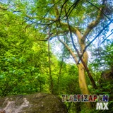 Paisaje dentro de la barranca del cerro de Santa María en Tlaltizapán, Morelos