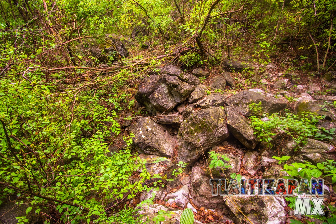 Dentro de la barranca mas grande del cerro Santa María en Tlaltizapán, Morelos