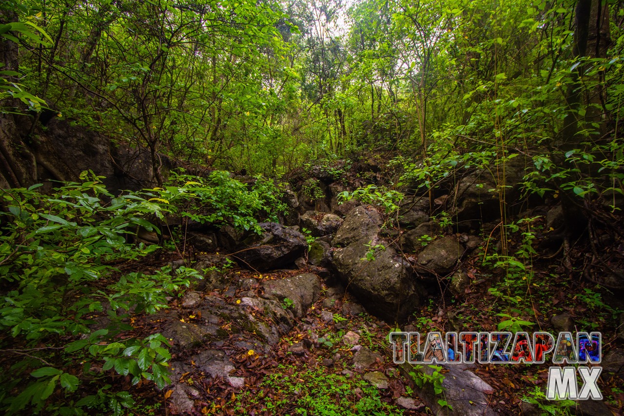 Paisaje dentro de la barranca del cerro de Santa María en Tlaltizapán, Morelos