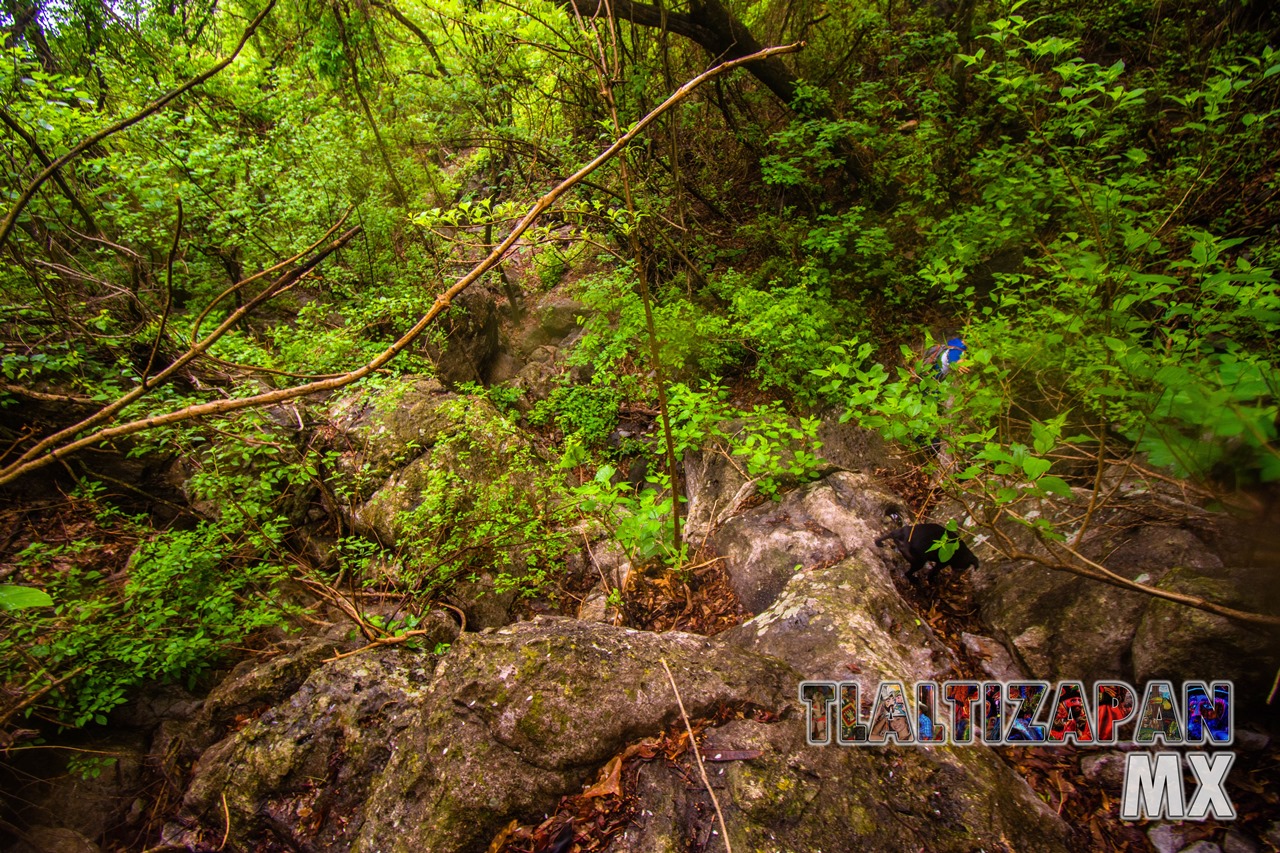 Paisaje dentro de la barranca del cerro de Santa María en Tlaltizapán, Morelos