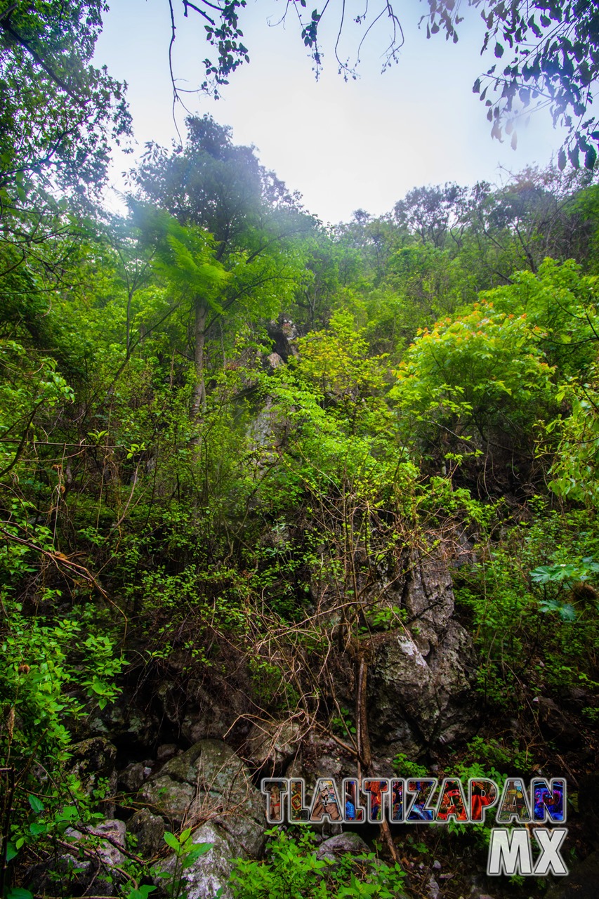 Paisaje dentro del cañón del Cerro de Santa María en Tlaltizapán, Morelos