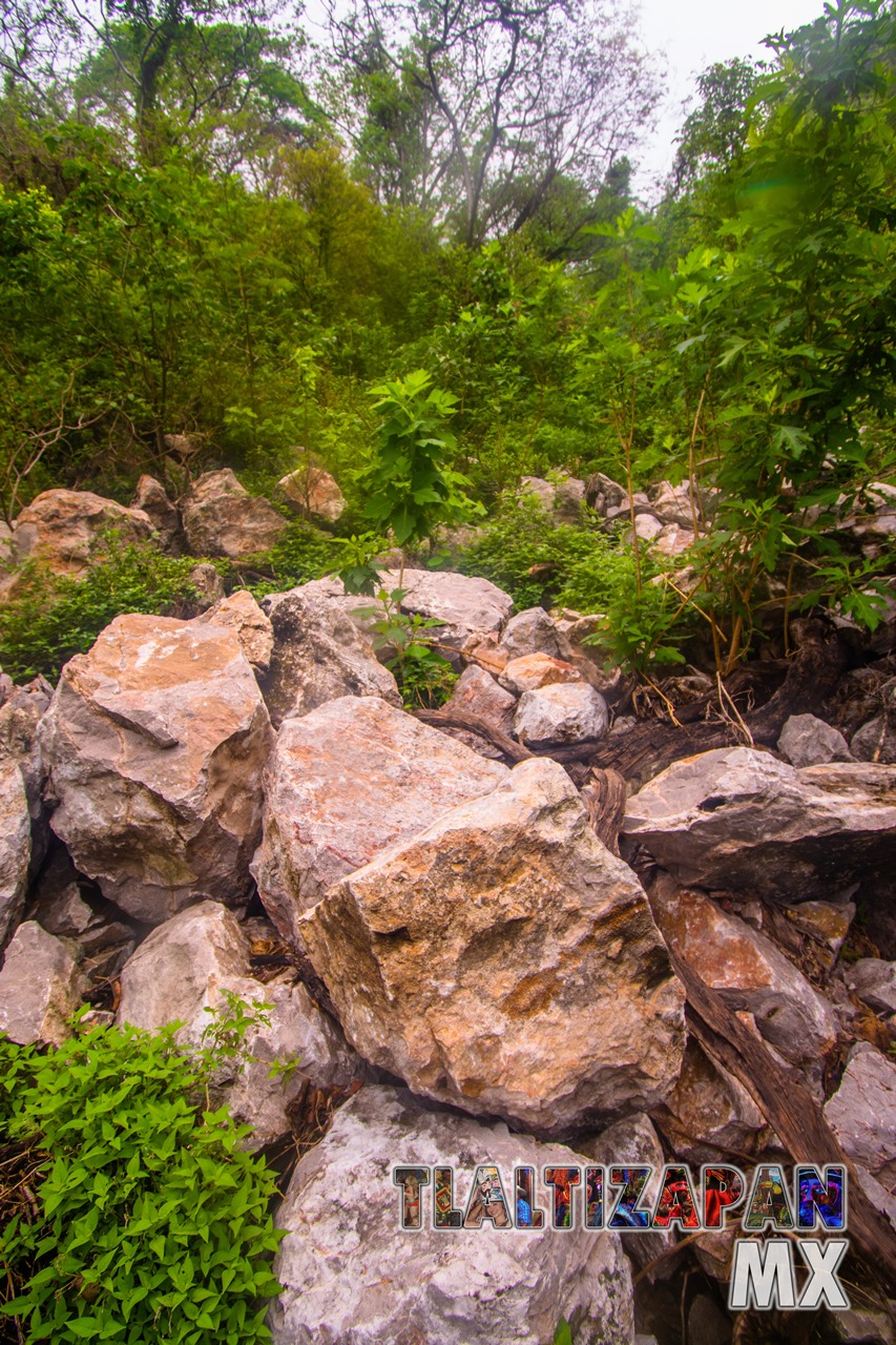 Paisaje dentro del cañón del Cerro de Santa María en Tlaltizapán, Morelos