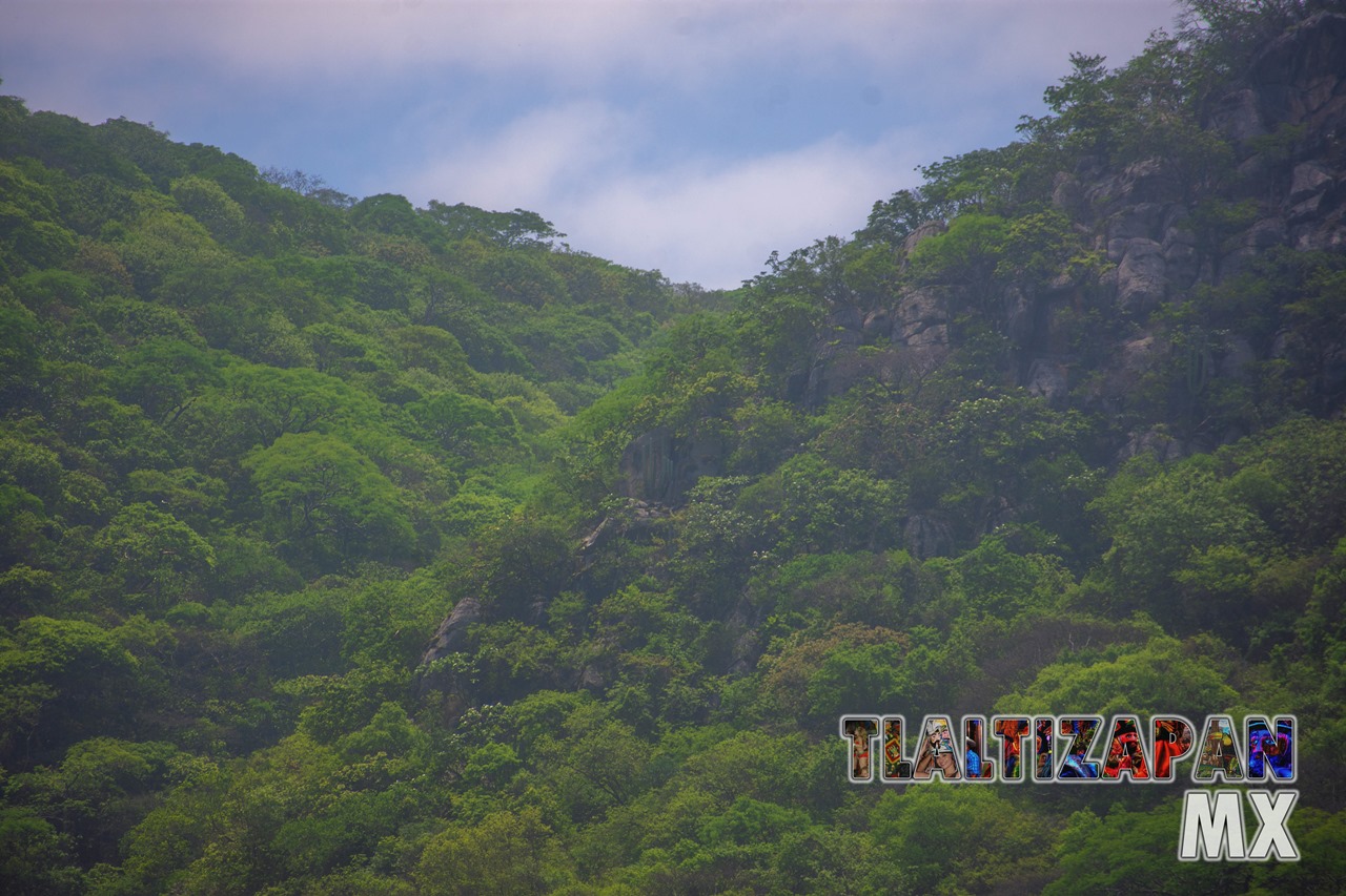 Vista de la barranca del cerro Santa María en Tlaltizapán