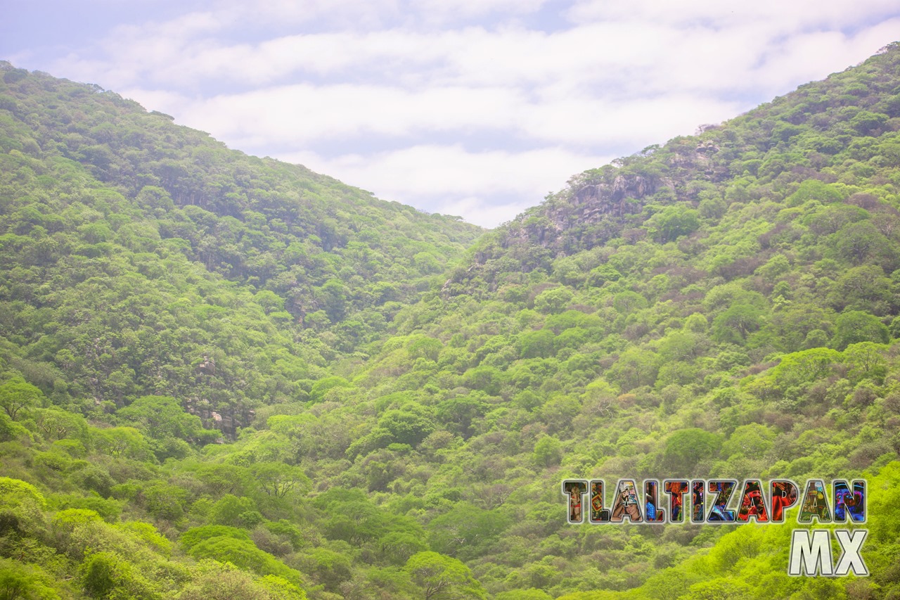 Paisaje dentro de la barranca del cerro de Santa María en Tlaltizapán, Morelos