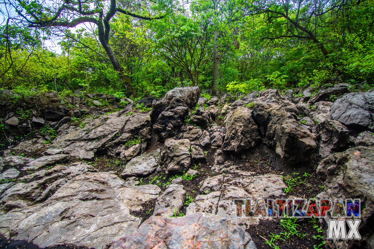 Paisaje dentro del cañón del Cerro de Santa María en Tlaltizapán, Morelos