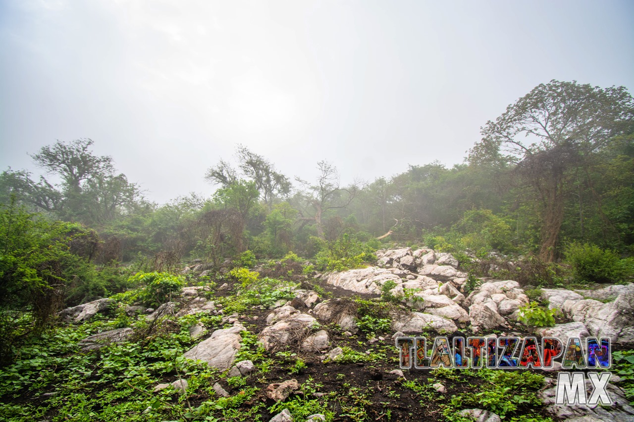 Paisaje dentro del cañón del Cerro de Santa María en Tlaltizapán, Morelos