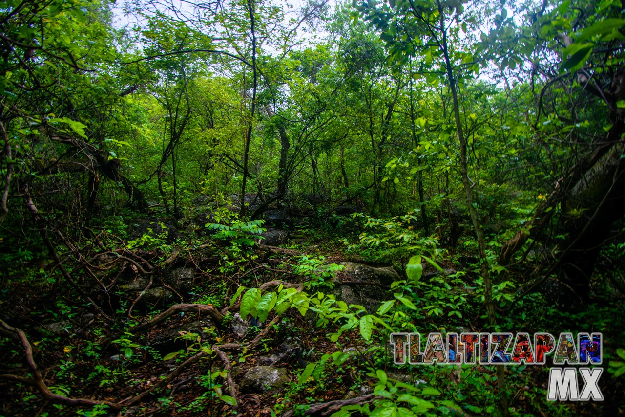 Paisaje dentro de la barranca del cerro de Santa María en Tlaltizapán, Morelos