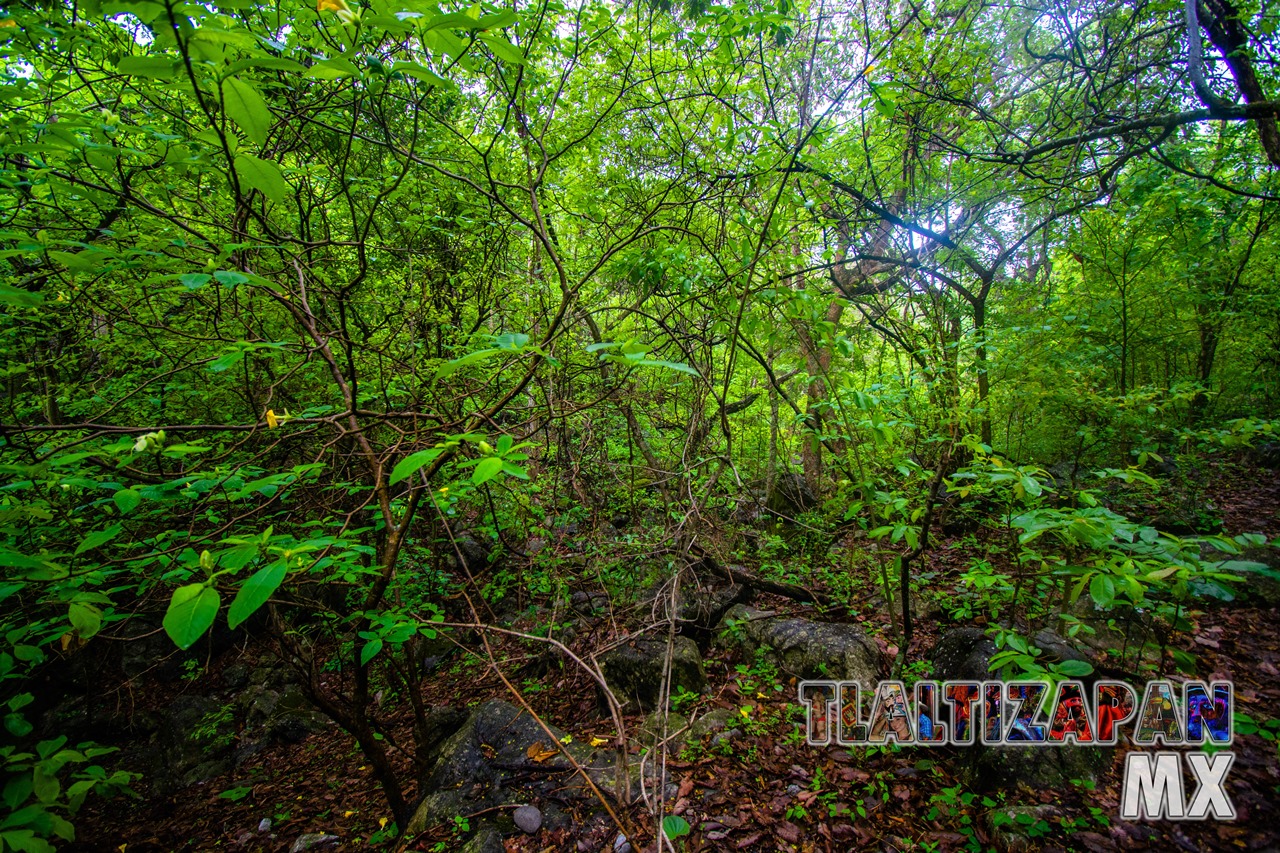 Paisaje dentro del cañón del Cerro de Santa María en Tlaltizapán, Morelos