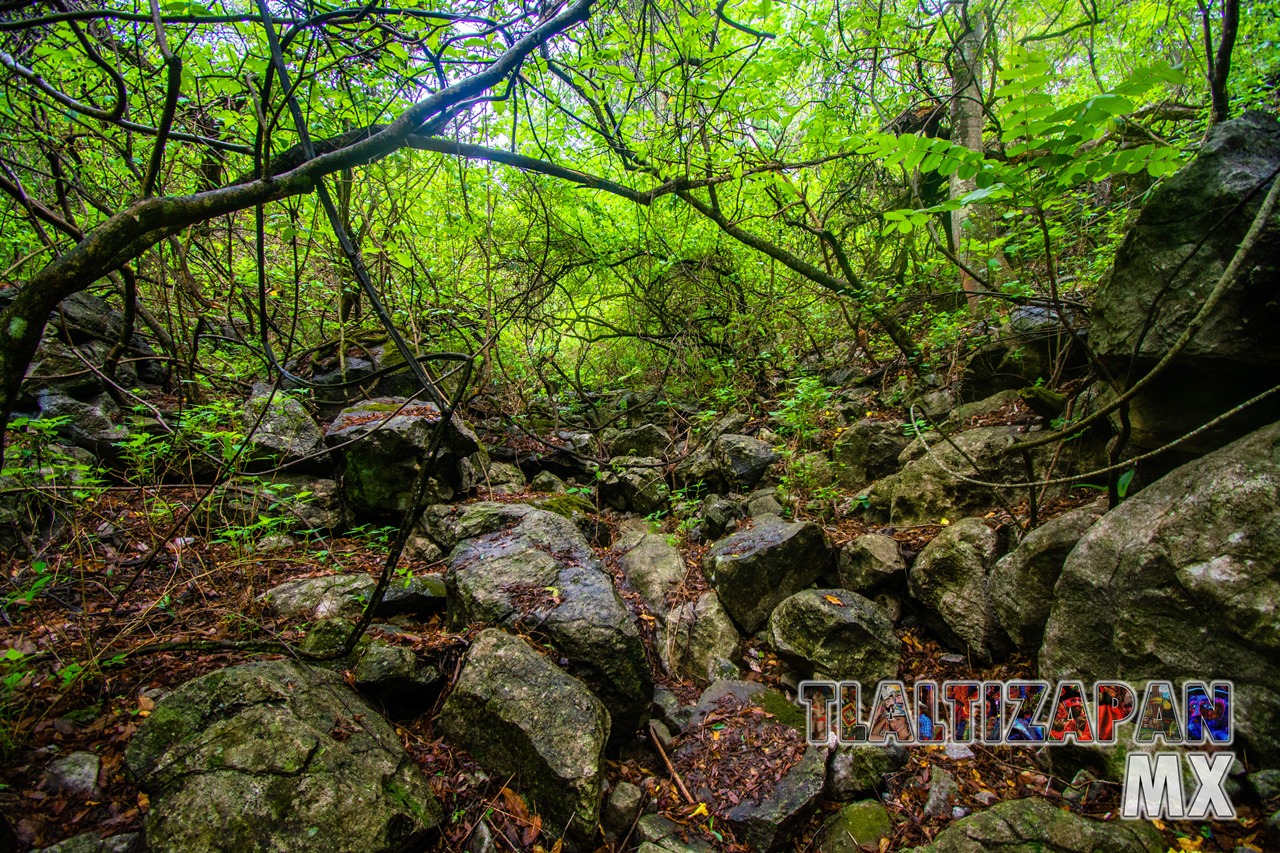 Paisaje dentro del cañón del Cerro de Santa María en Tlaltizapán, Morelos