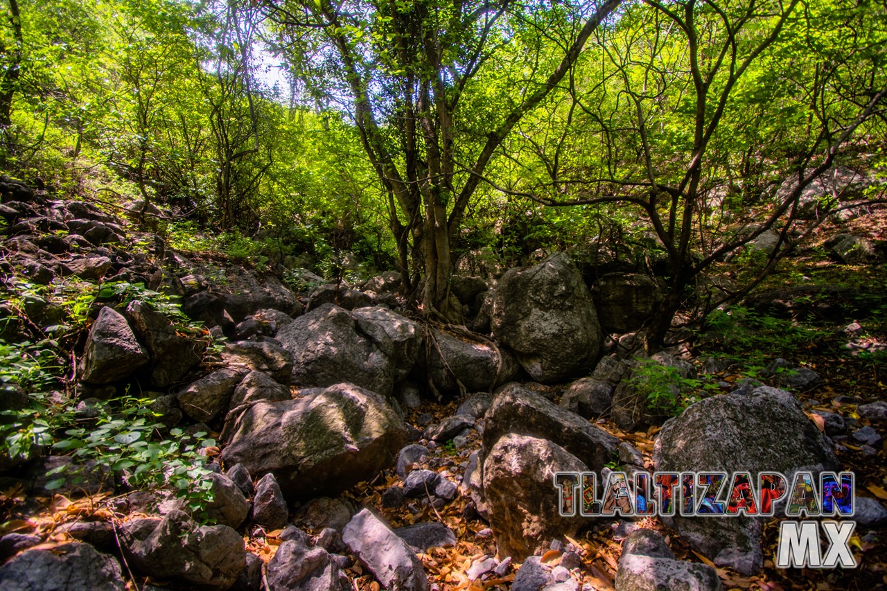 Paisaje dentro del cañón del Cerro de Santa María en Tlaltizapán, Morelos