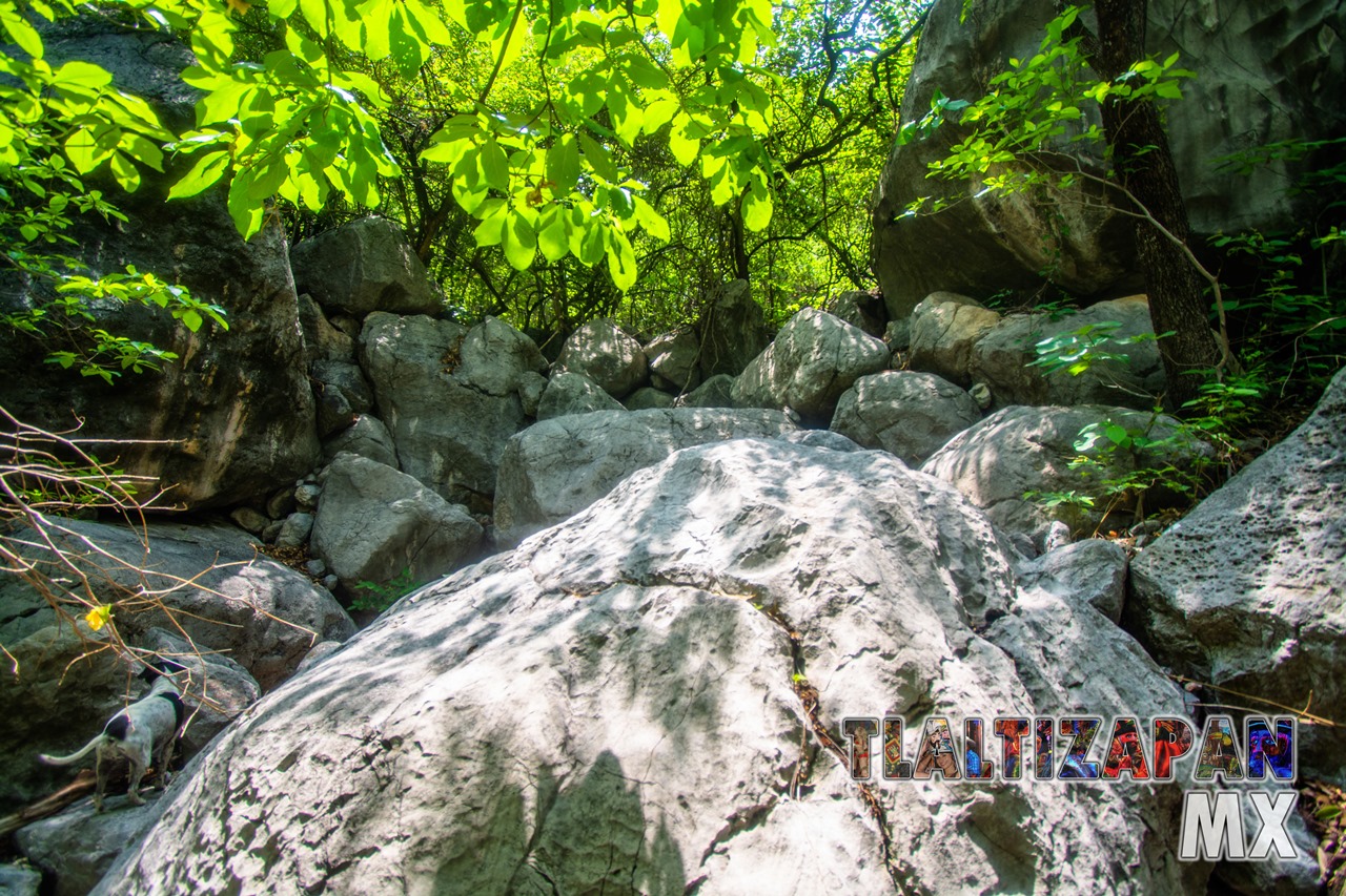 Paisaje dentro del cañón del Cerro de Santa María en Tlaltizapán, Morelos