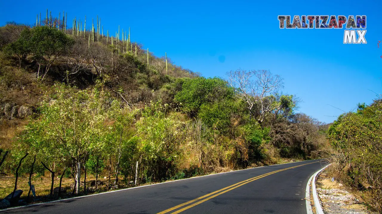 Organales de temilpa 07 de Marzo del 2019 | Coleccion multimedia | Tlaltizapan.mx