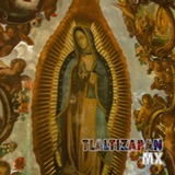 Imagen Virgen de Guadalupe